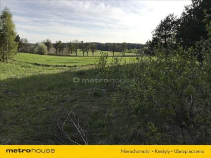 Działki rolne w miejscowości Rumy, Warmia i Mazury