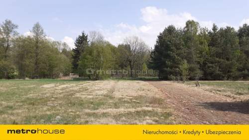 Działka rolna na sprzedaż, 9900 m2, Marysin