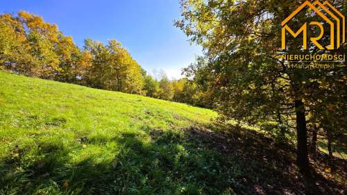 Widokowa działka rolna z panoramą na Dunajec