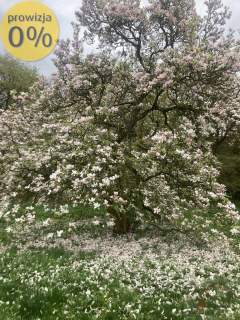 Majątek koło Choszczna w tym 21 ha ziemi .