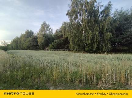 Nieruchomość komercyjna na sprzedaż, 11904 m2, Komorowo