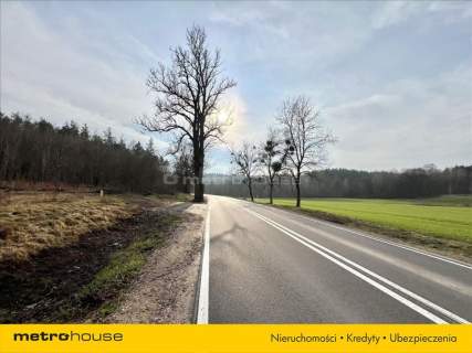 Atrakcyjna działka w miejscowości Romany.