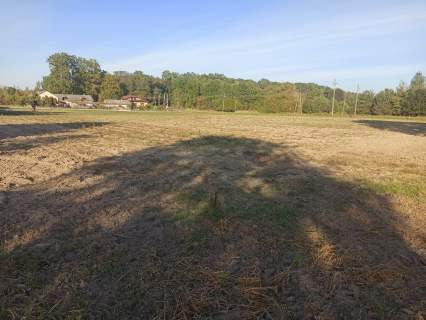 Sprzedam działki budowlane każda po 1500m2 we wsi Grochowa