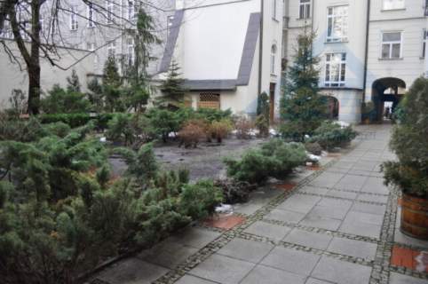 Piękne biuro w kamienicy przy Placu Konstytucji