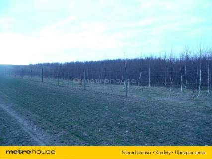 Działka leśna na sprzedaż, 133500 m2, Franknowo
