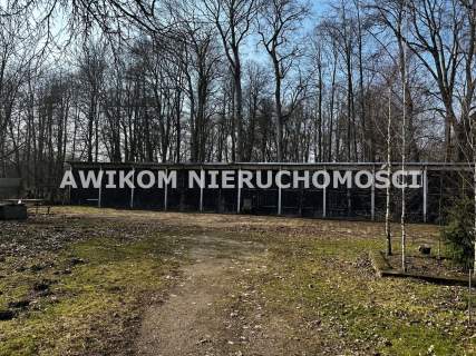 Działka rolna na sprzedaż, 3560 m2, Widgiry