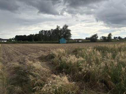 Działka AG z warunkami zabudowy Rzegnowo k/Łubowa