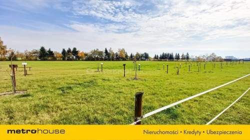 Działka 1246 m2, na sprzedaż - Nieżywięć.