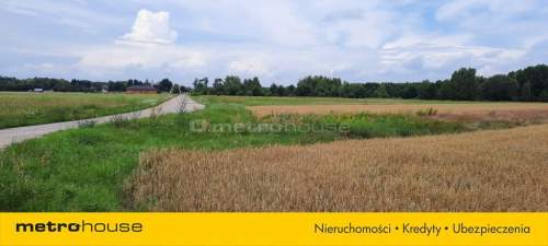 Działka rolna na sprzedaż, 14313 m2, Żeliszew Podkościelny