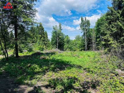 Działka budowlana w środku lasu 750 m n.p.m.