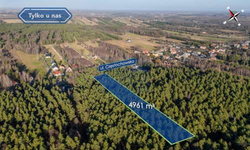Duża działka budowlana - leśna Srocko gm. Mstów