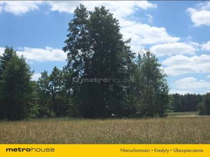 Kup 5 hektarów bez zgody KOWR