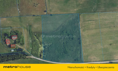 1,3 ha Warmii - pod uprawy lub agroturystykę