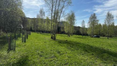 Działka o powierzchni około 2000 m2 w Nowej Wsi