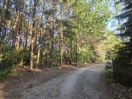 wz na 5 domów, prywatny las, lokalizacja