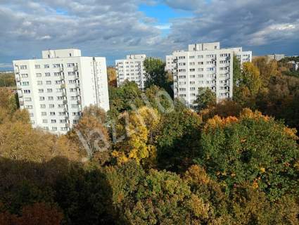Mieszkanie na Sadach Żoliborskich