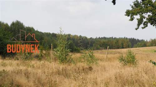 Działka rolna - Karsino