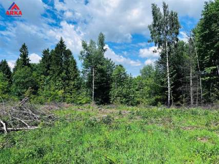 Działka budowlana w środku lasu 750 m n.p.m.
