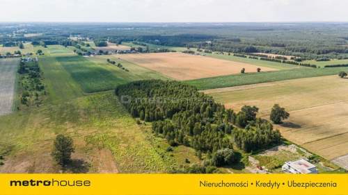 Enklawa wśród drzew, pól i łąk - Ruda-Bugaj