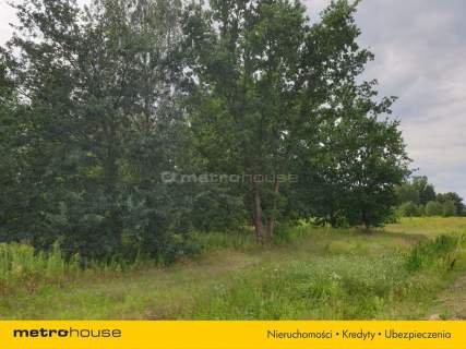 Działka inwestycyjna na sprzedaż, 985 m2, Cisie