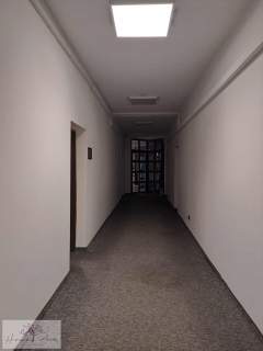 Lokal biurowy w Centrum