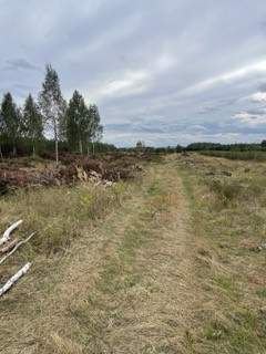 Działki budowlane z warunkami zabudowy pow. ok. 1200 m2