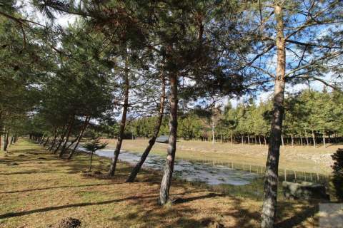 Wyjątkowy obiekt z możliwością agroturystyki