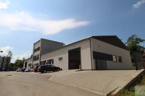 Lokal do wynajęcia/Przemyśl/Leszczyńskiego