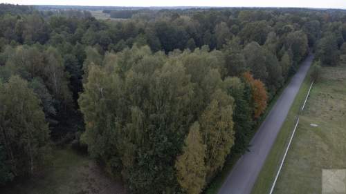 Działka 49ar w Majdanie Sieniawskim