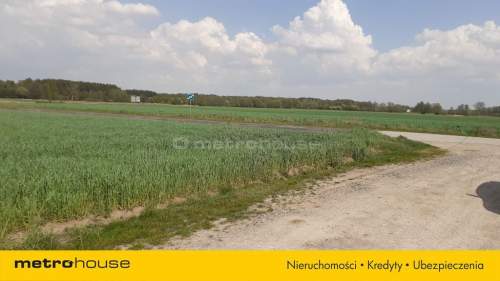 Działka na sprzedaż, 10006 m2, Łęki