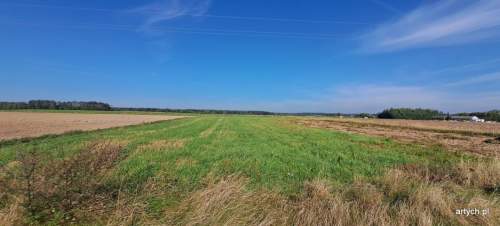 Działka rolna na sprzedaż, 3000 m2, Rogów