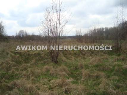 Działka siedliskowa na sprzedaż, 13593 m2, Pieńki Zarębskie