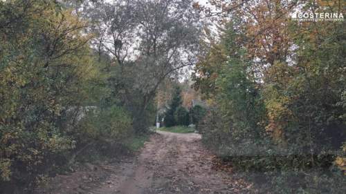 Działka inwestycyjna 7,06 ha w Zadrach, gmina Miastko Pojezierze...