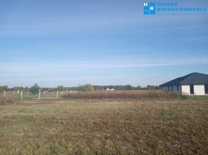 Do budowy bliźniaka blisko Puszczy Kampinoskiej 