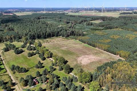 Okolica jeziora Dołgie i kompleksów leśnych.