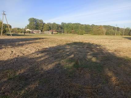 Sprzedam działki budowlane każda po 1500m2 we wsi Grochowa