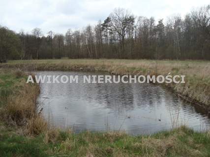Działka siedliskowa na sprzedaż, 13593 m2, Pieńki Zarębskie