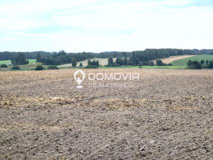 Dom murowany z gruntami rolnymi 2,55 ha Suchowola k. Zamościa