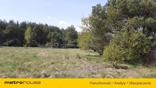 Działka inwestycyjna na sprzedaż, 21233 m2, Żelków-Kolonia