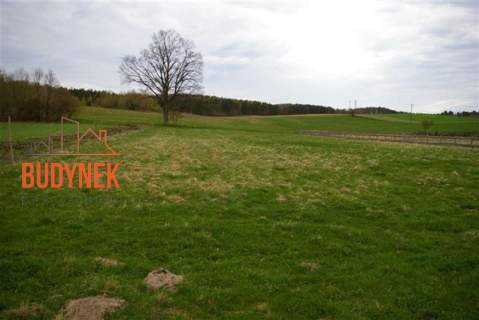 Działka rolna - Karsino