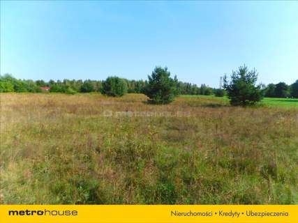 Działka 3017 m2 w atrakcyjnej cenie w Górsku br