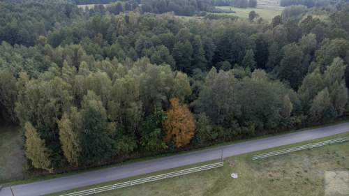 Działka 49ar w Majdanie Sieniawskim