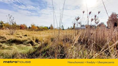 Działka 1246 m2, na sprzedaż - Nieżywięć.