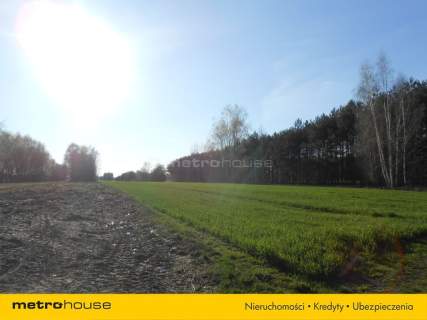 Działka rolno budowlana. Stachlew. 6km do trasy A2