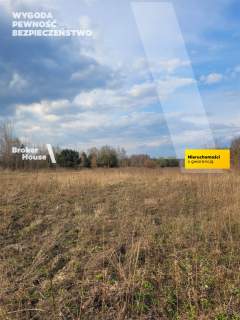 Działka budowlana na sprzedaż, 20000 m2, Borzęcin Duży