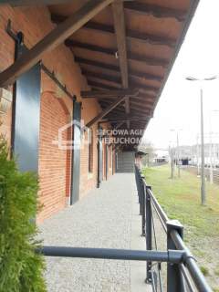 Top lokal w samym Centrum Gdańska