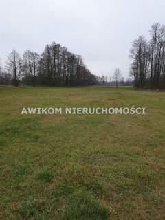 Działka w Kampinoskim Parku Narodowym