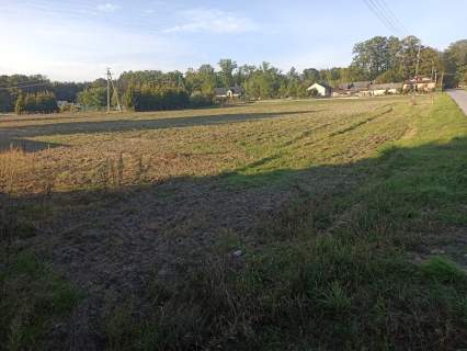 Sprzedam działki budowlane każda po 1500m2 we wsi Grochowa