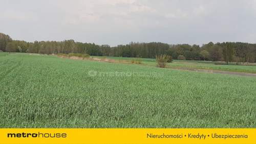 Działka na sprzedaż, 10006 m2, Łęki