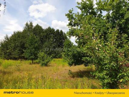 Działka inwestycyjna na sprzedaż, 1396 m2, Cisie
